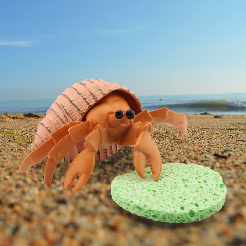 kcrygogo Hermit Crab Green Sponge Hermit Crab Accessories for Maintaining Hermit Crab Tank Humidity Supplies(10pcs) - PawsPlanet Australia