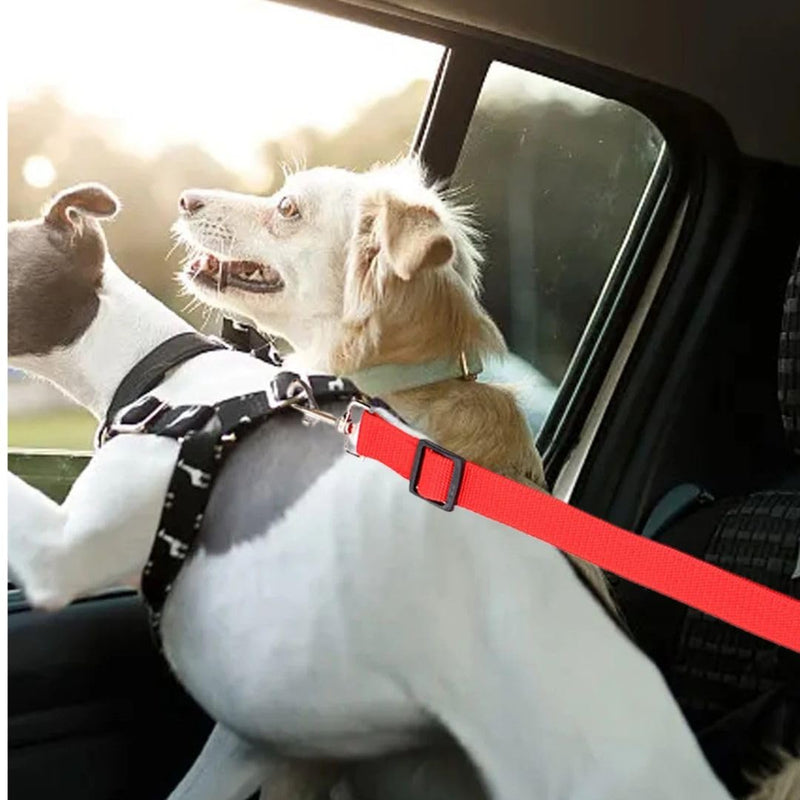 2-Pack Adjustable Dog Seat Belt for Car – Durable Nylon Pet Safety Seatbelt Leash, Fits All Vehicles – Dog, Cat & Small Pet Travel Harness Restraint (Red & Rose) - PawsPlanet Australia