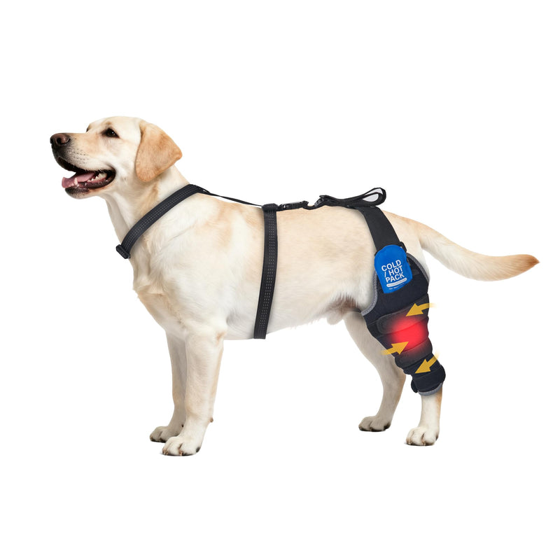 Aeegee Dog Rear Leg Knee Support, Hot/Cold Therapy Care, Effectively Relieves Pain from Arthritis, Hip Dysplasia, and ACL Injuries (Left, L) Large Left Leg