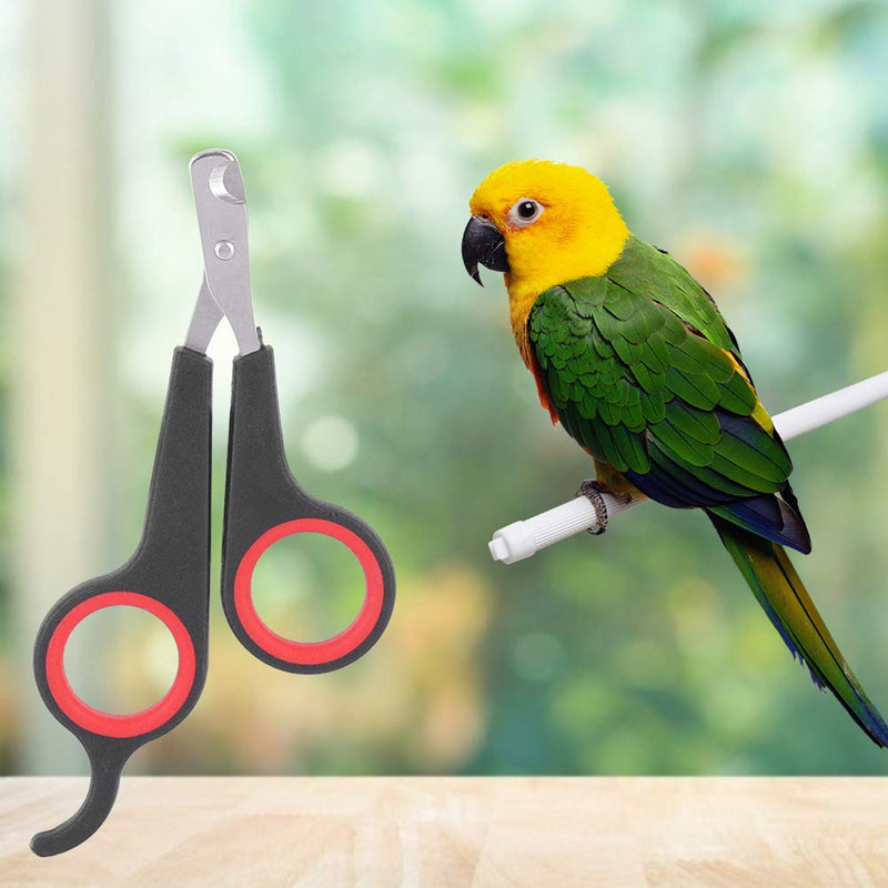Yosoo Solid Stainless Steel Bird Nail Clipper, Wing Clippers Pet Bird Small Animals Bird Cage Essential Accessories Grooming Tool Nail Scissors Clipper Bird Grooming Black and Red - PawsPlanet Australia
