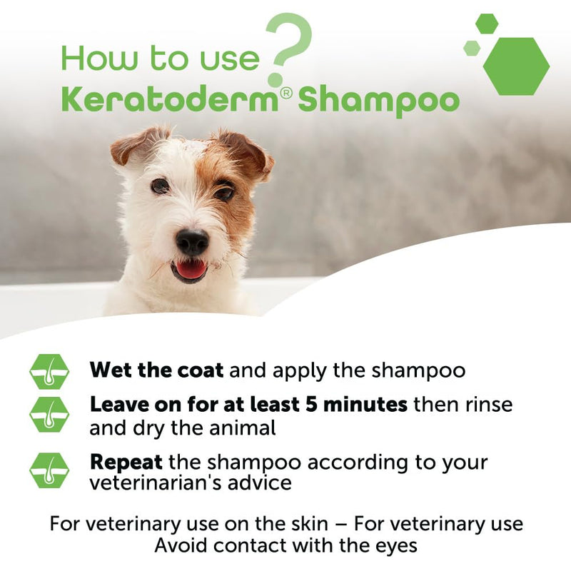 Keratoderm® Dermatology Shampoo for Dogs & Cats – Veterinary Skin Care for Greasy, Flaky & Scaly Skin – Advanced Keratolytic & Sebum-Balancing Formula – 200ml Leak-Proof Tube - PawsPlanet Australia
