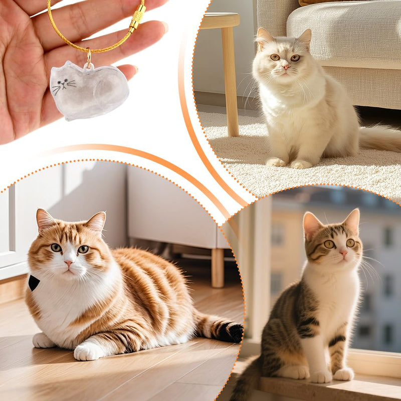 6Pcs Cat Fur Storage Bottle Cat Hair Keychain, Transparent Acrylic Cats Shape Memorial Storage Capsule Pendant, Birhthday Gift for Pet Lovers