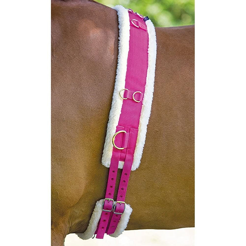 Shires Equestrian Nylon Lunging Roller with Fleece Padding Full Black - PawsPlanet Australia