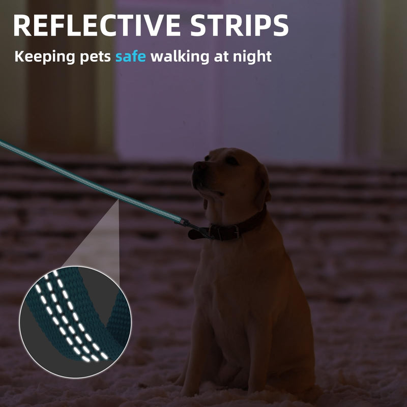 PUPTECK Reflective Dog Leash with Comfortable Padded Handle Durable Nylon Dog Lead for Small Medium and Large Dogs Cats Walking Running Training Outside, Teal, M 4.9 FT - PawsPlanet Australia