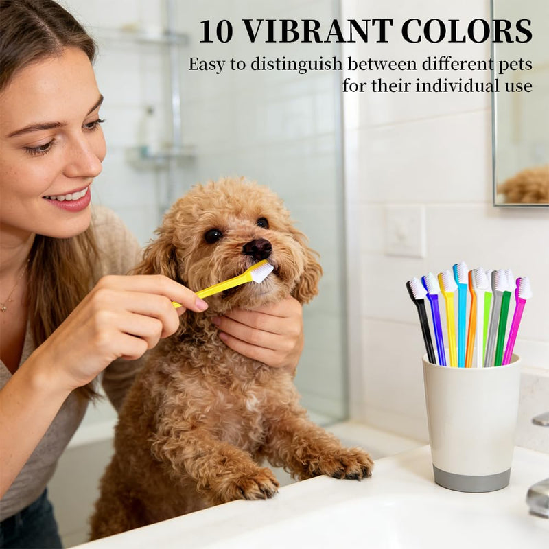 10-piece set of double-headed pet toothbrushes: Dog toothbrush for dogs and cats, long-handled dog toothbrush with soft bristles, Emmi Pet dental care set