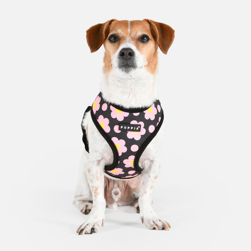 Puppia Bacopas Dog Harness A (Over-The-Head) Fashionable Flower Pattern Spring Summer Harness for Small and Medium Dogs, Black, Medium BLACK_BACOPAS - PawsPlanet Australia