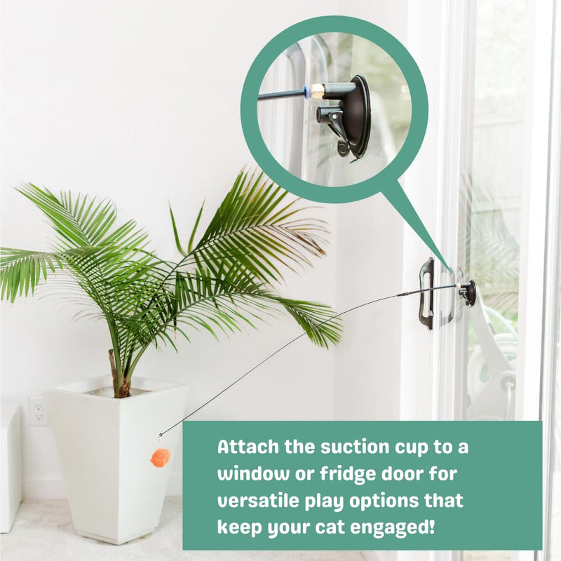 Cat Wand Toys for Indoor Cats Cat Toys for Bored Indoor Adult Cats Feather Toy Suction Cup Cat Toy Cat Bird Toy Interactive Bird Simulation Cat Floor Suction Cup Cat Toy for Indoor Cats Main Cat Toy - PawsPlanet Australia