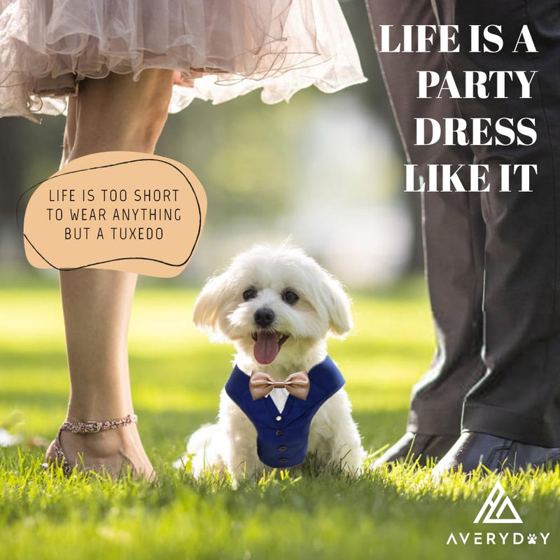AVERYDAY Dog Tuxedo for Wedding Outfit, Dog Suit and Tie Costumes for Birthday, Halloween, Cosplay, Christmas Party, Pet Formal Wear with Bowtie, Tux for Small Dogs, Chihuahua, Bichon, Maltese, Cats S (Chest 16.9-21.1 in) Blue Tux+Champagne Tie - PawsPlanet Australia