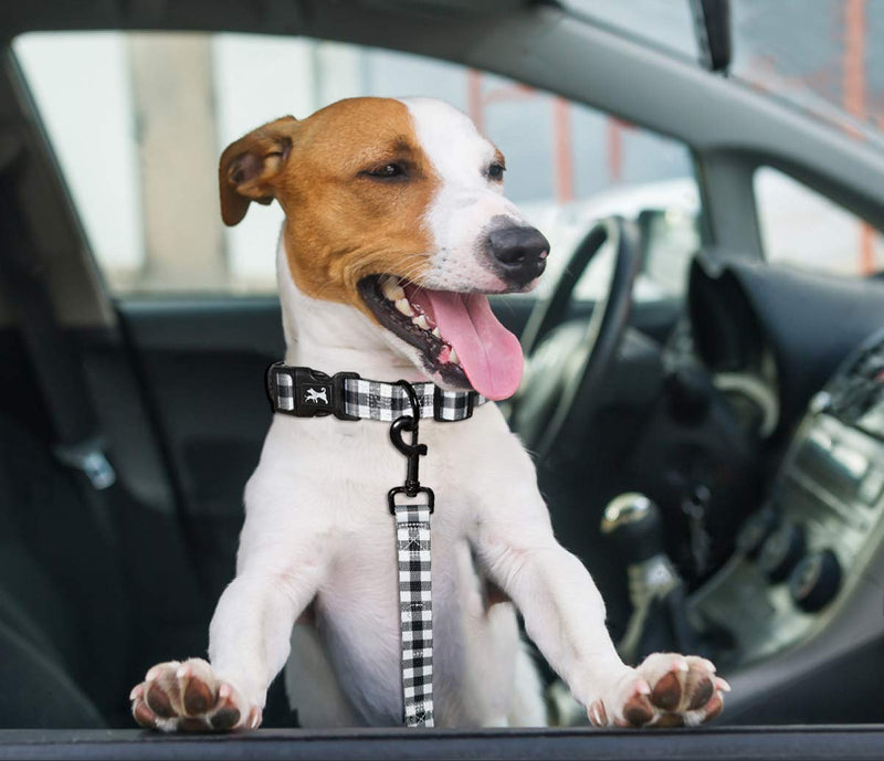 PoyPet 5 Feet Dog Leash - 2 Cushioned Handles - Functional Car Seat Belt - Fashionable Pattern, Buffalo Plaid(Checkered Red, L) L( 1'' Width ) Checkered Red - PawsPlanet Australia