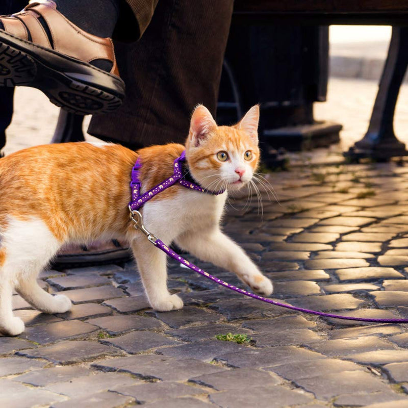Cat Harness and Leash Set Gold Moons Soft Nylon Escape Proof Adjustable for Kittens Small Animals Glow in The Dark(Purple) Purple - PawsPlanet Australia