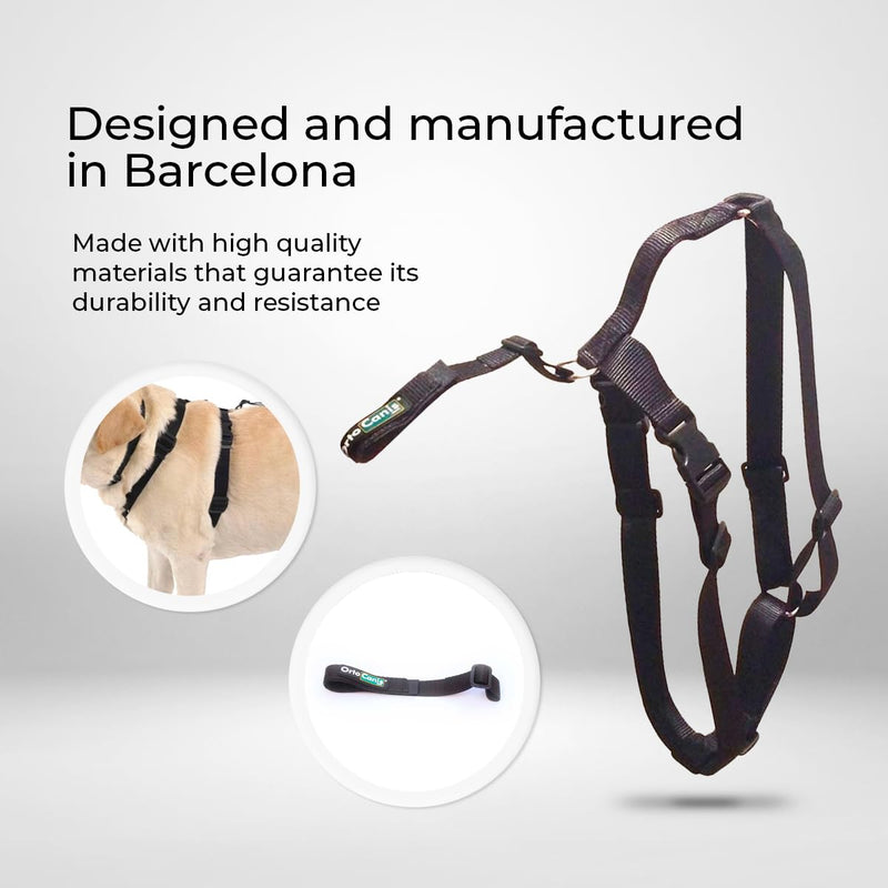 Ortocanis - Knee Brace Fastening Belt for Dog - Prevents Slippage - Improves Stability and Recovery - Size Harness + Leash: L 69-96 cm Belt for Knee Brace Size L (27-37")