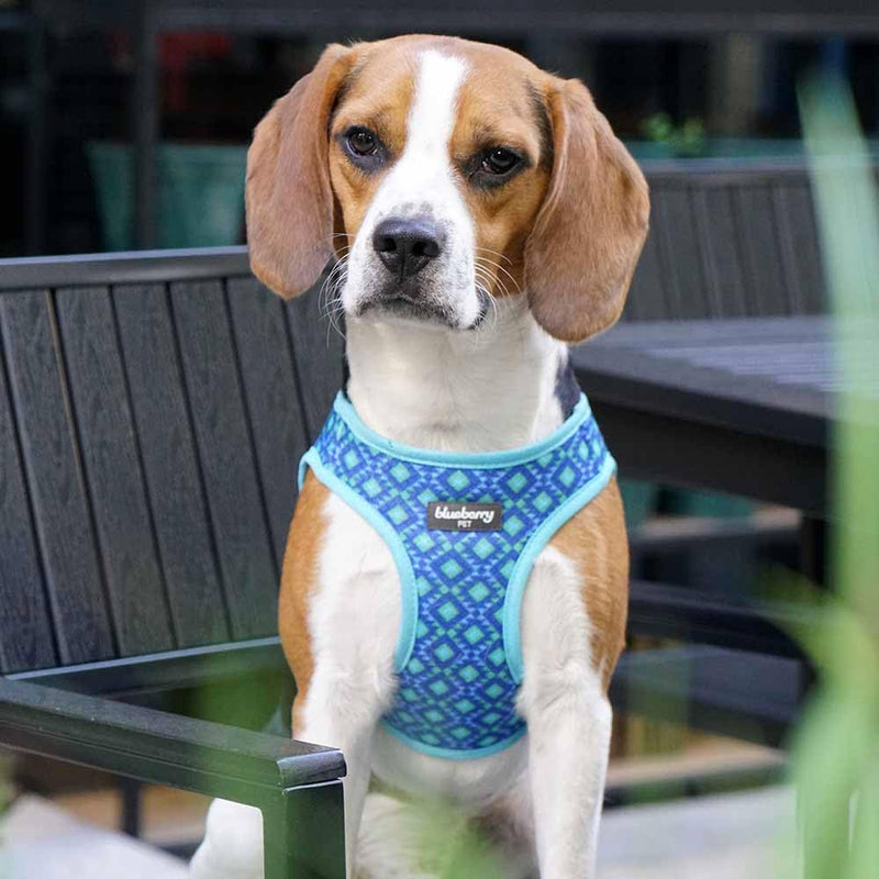 Blueberry Pet Southwestern Tribal Lozenges Stylish Green Dog Harness Vest, XS, Adjustable Harnesses for Puppies Small Dogs (15 1/2"-16 1/2") Chest Girth (Pack of 1) - PawsPlanet Australia