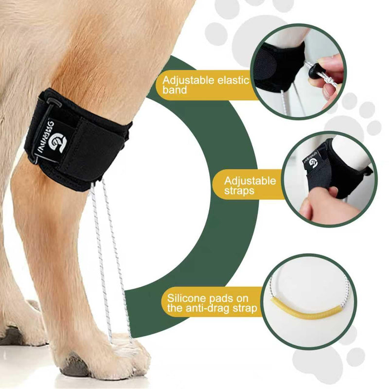Dog Rear Leg Support Brace for Foot Drop, Canine Knuckling Prevention, Toe Dragging Assistance L