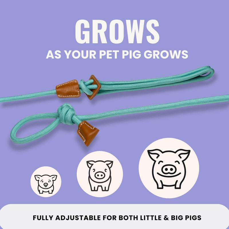 Mini Pig Harness & Leash (S/M) - Fully Adjustable, Infinity Style Lead, Step-in Harness, Potbelly Supplies, All-in-One - Ideal for Small & Medium Pet Pigs (Small, Eggshell Blue) S/M