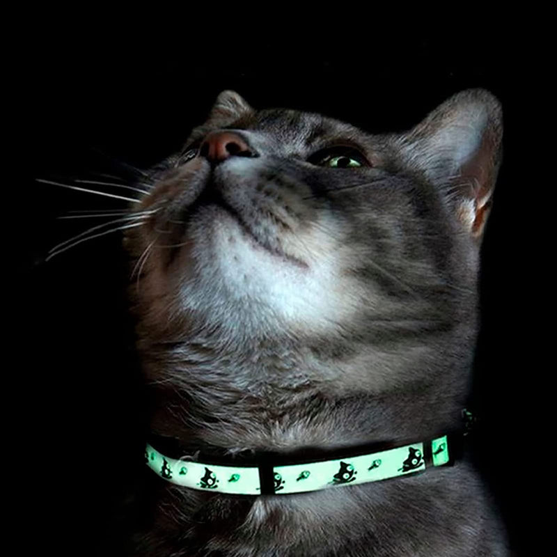 Pawtitas Glow-in-The-Dark Cat Collar – Adjustable Safety Collar with Breakaway Buckle & Removable Bell, Orange - PawsPlanet Australia