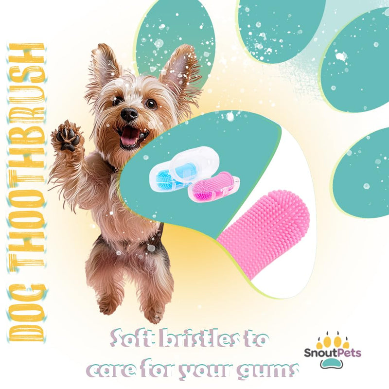 Cylindrical dog toothbrush for Dogs–the Easy to Use Dog Tooth Brushing Kit, With of Toothbrush for Dogs you will get the Hygiene, Takes Care of Teeth and Gums, Ideal for Pets of All Ages-2 Pack Blue, Pink 1 Count (Pack of 2) - PawsPlanet Australia