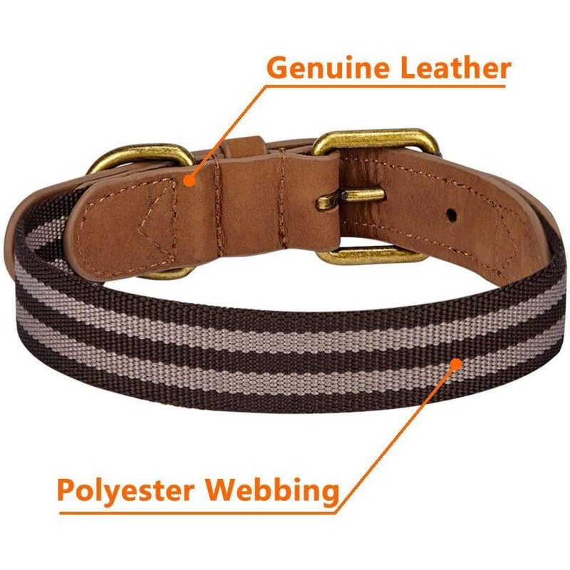 Blueberry Pet Soft & Comfy Genuine Full Grain Leather & Polyester Combo Adjustable Dog Collar - Classic Staple Striped in Chocolate and Taupe, Medium, Neck 15"-18" 1" Wide * (15"-18") Neck (Pack of 1) Leather & Polyester - Chocolate & Taupe - PawsPlanet Australia