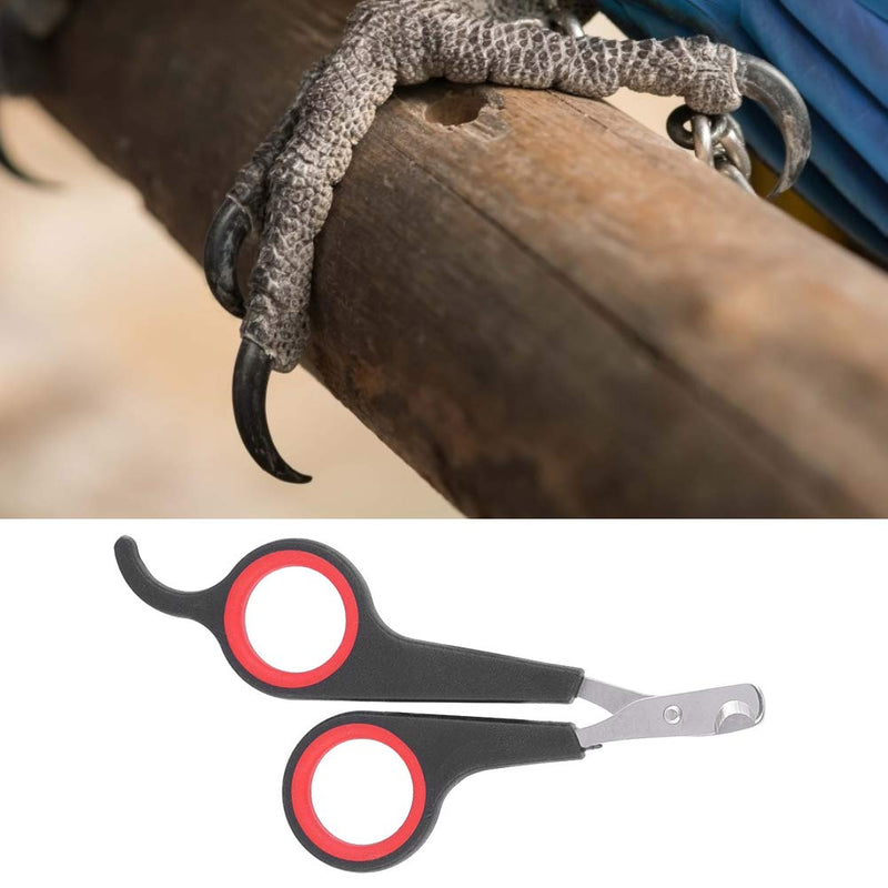 Solid Stainless Steel Bird Nail Clipper, Bird Cage Essential Accessories, Bird Grooming Tool Accessory for Pet Store & Parrot - PawsPlanet Australia