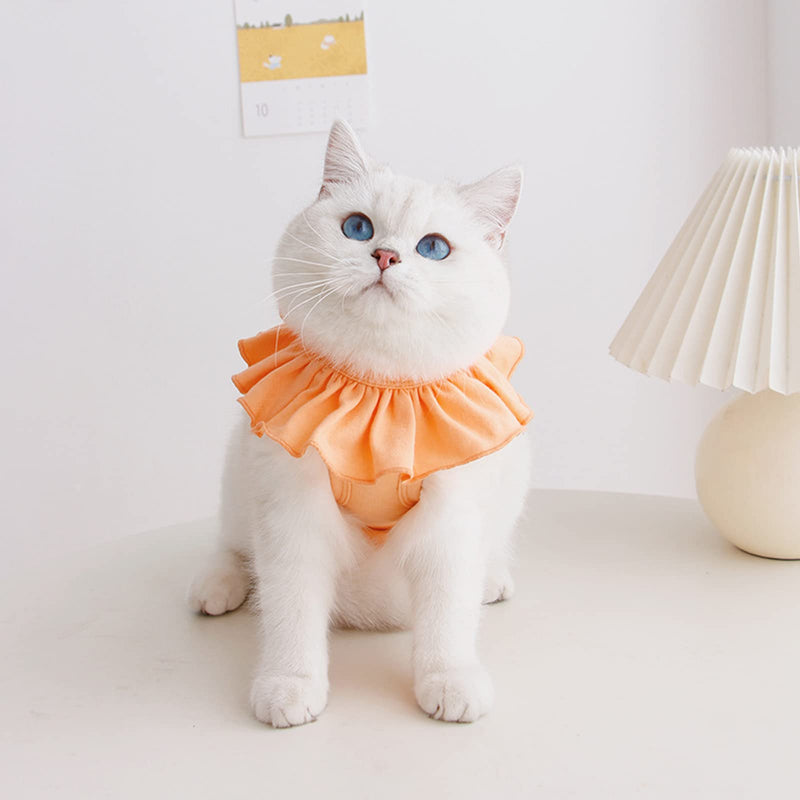 Cat Recovery Suit for Abdominal Wounds and Skin Diseases,Breathable Surgical Recovery Shirt After Surgery Wear Anti Licking Wounds,E-Collar Alternative for Female Cats Kitten(RSC01-orange-m) Medium orange - PawsPlanet Australia