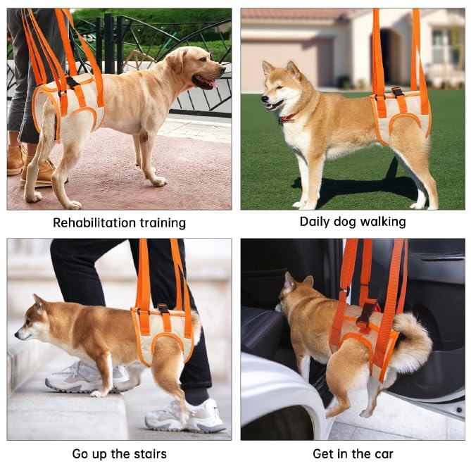 Paralyzed Dog Harness with Hind Leg Support - Small Sized Dog Sling, Adjustable Lift Harness, Hip Dysplasia Brace & ACL Tear Aid for Elderly Dogs - Alternative to Dog Wheelchair L