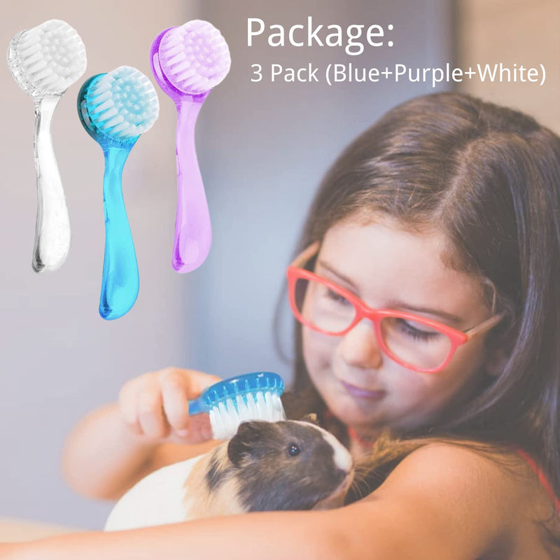 3 Pack Small Animal Grooming Brush - Hair Brush with Lid Soft Cleansing Bristles for Hamster Guinea Pig Rabbit Chinchilla Ferret Massage Combs Cleaning Supplies (3 Pack, White+Purple+Blue) 3 Pack