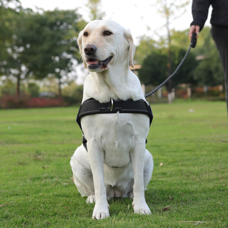 Heavy Duty Dog Harness Medium Sized Dog Adjustable Reflective Tactical Harness with Soft Padded Handl, Front Clip for Escape Proof and Easy Walking and Training, Green, M - PawsPlanet Australia