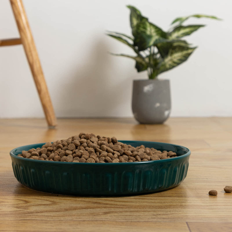 FE Ceramic Pet Dog Bowls - 10.5" Extra Large and Weighted Pet Food and Water Feeder for Small, Medium and Large Breeds, Non-Slip, Dishwasher Safe Turquoise - PawsPlanet Australia