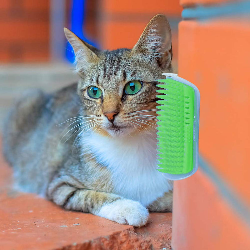 Hub's Gadget 2 Pack Cat Self Groomer, Wall Corner Massage Comb Grooming Brush (Green) - PawsPlanet Australia