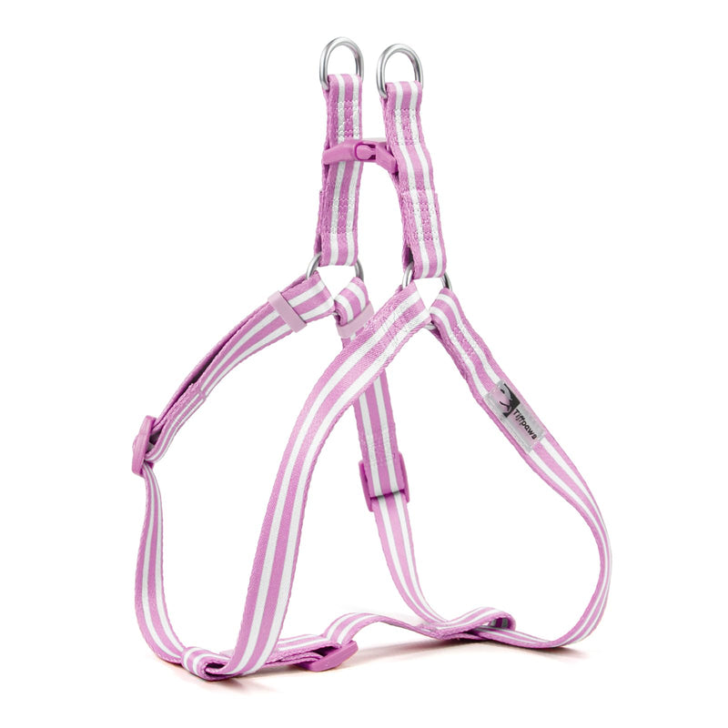 Stripe Step in Dog Harness for Small Dogs, Freedom Nylon Dog Halter Vests, Lightweight and Escape Proof Puppy Harness, Quick Fits for Small Medium and Large Dogs, Purple L - PawsPlanet Australia