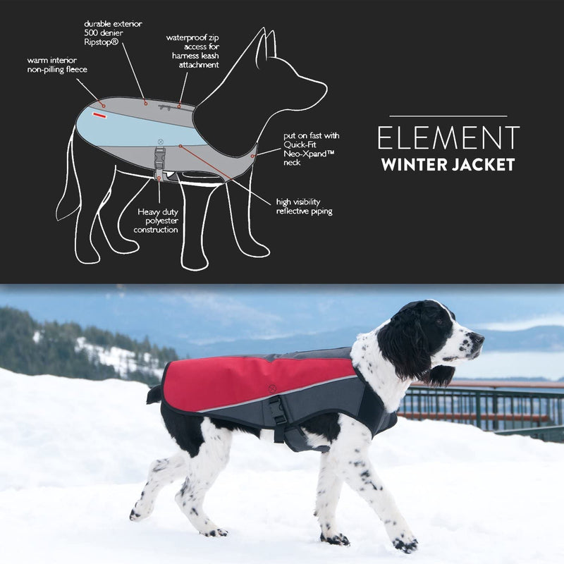 EzyDog Element Best Dog Jacket - Premium Wind and Waterproof Reflective Dog Coat for Safety and Protection - Provides Leash Access to Harness or Collar (Scarlett, Small) Scarlet - PawsPlanet Australia
