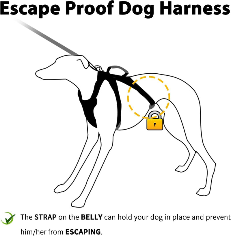 Huntboo Escape Proof Dog Harness, Secure Dog Harness No Escape, Fully Reflective Harnesses with Handle, Breathable, Durable, Adjustable Vest for Small Dogs Walking, Training & Running Gear(Teal,XS) X-Small(Pack of 1) Blue - PawsPlanet Australia