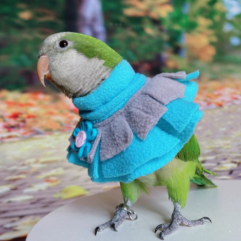 Bird Collar Anti Bite Elizabethan Recovery Cone, Bird Neck Protector for Feather Plucking, Bird Neckwear Full Body Shield, Bird Outdoors Windproof Cape Color Randomly (African Grey) African Grey - PawsPlanet Australia