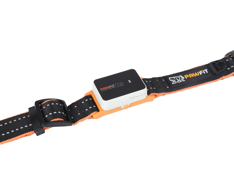 Pawfit 3 Series Collar, Nylon Dog Collar with Safety Buckle, Adjustable Pet Collars with Quick Release Buckle (Black & Orange, Extra large) Black & Orange - PawsPlanet Australia