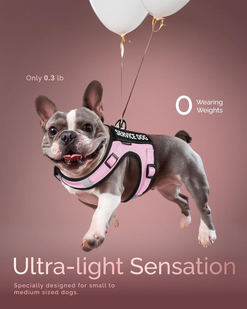 FAYOGOO Service Dog Vest for Small Dogs - Air Mesh Breathble Emotional Support Animal Vest with Velcro Patches - Puppy Harness and Leash Set Adjustable Neck and Chest Pink M - PawsPlanet Australia