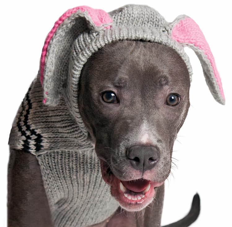 Chilly Dog Bunny Hoodie (Medium) Medium grey - PawsPlanet Australia