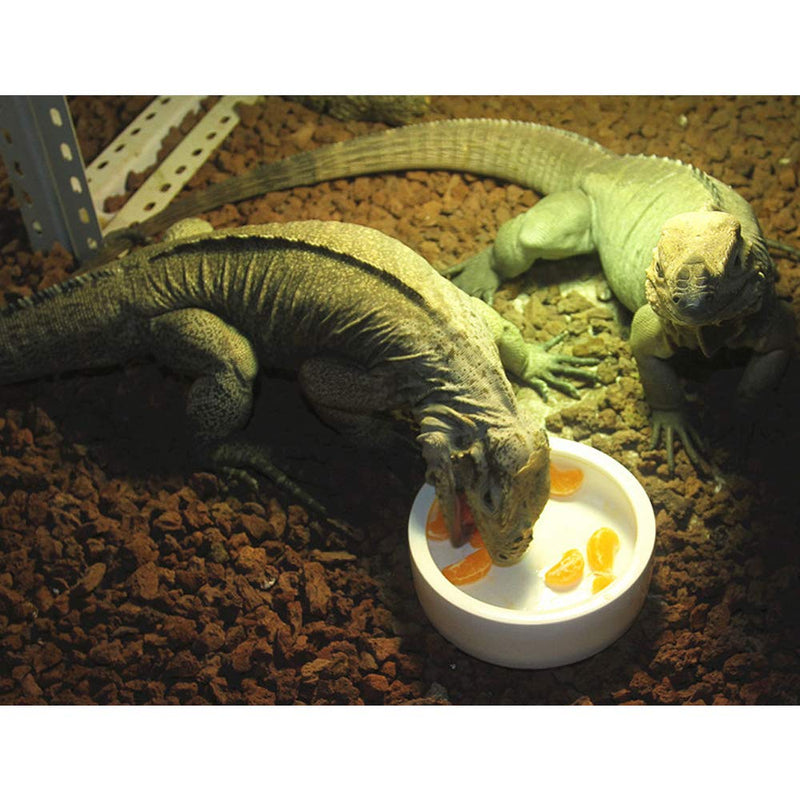 Reptile Food Water Bowl, 2 pcs Ceramics Worm Dish ,Anti-Escape Reptile Water Feeder ,Mealworm Bowl for Lizard Gecko Bearded Dragon, (S,M,L) (Large) Large - PawsPlanet Australia