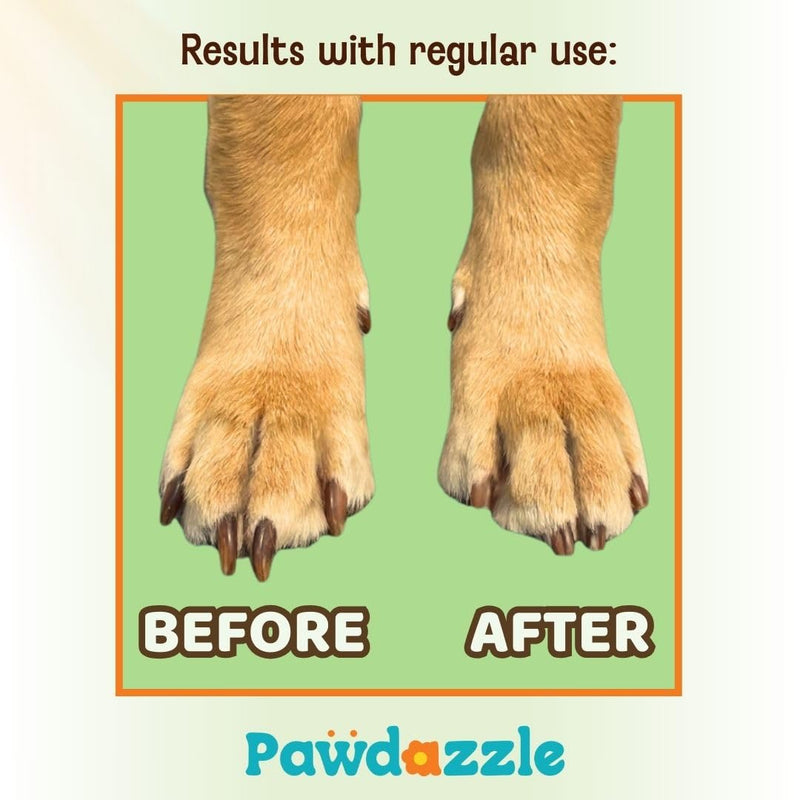 Pawdazzle Refill Pack – 5 Replacement Sandpaper Sheets for Dog Nail Scratch Board – Stick-On Dog Nail File Refills for Safe at-Home Grooming - PawsPlanet Australia