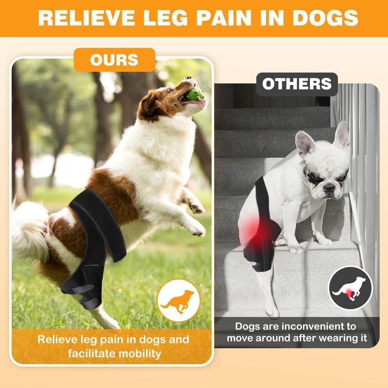 Dog Knee Brace Leg Braces - Dog Canine Knee Stifle Brace Wrap Dog Knee Brace for Torn ACL Hind Leg Joint Pain Muscle Sore Pet Brace Reduces Pain and Inflammation (M) - PawsPlanet Australia