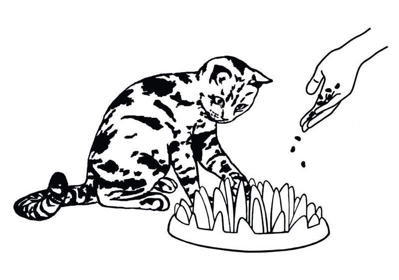Northmate Catch Feeder For Cats- Size Mini - PawsPlanet Australia