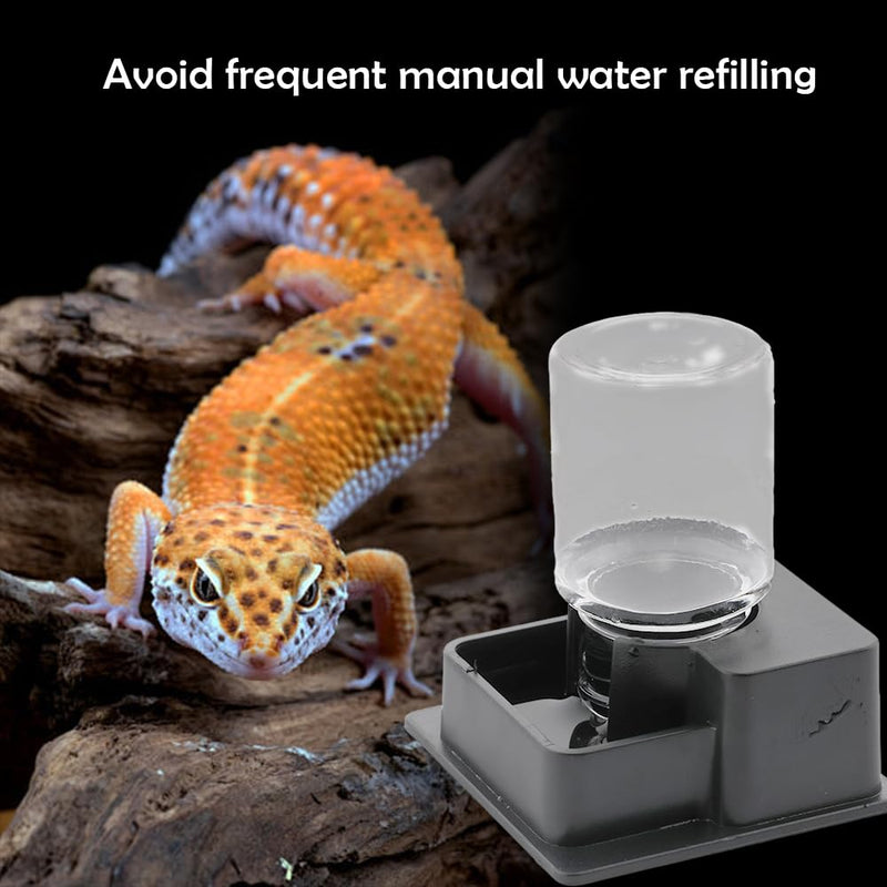 1 Pack Small Reptile Water Bowl Automatic Water Dispenser for Reptile Gecko Lizard Terrarium Bowl Feeder (Black) - PawsPlanet Australia