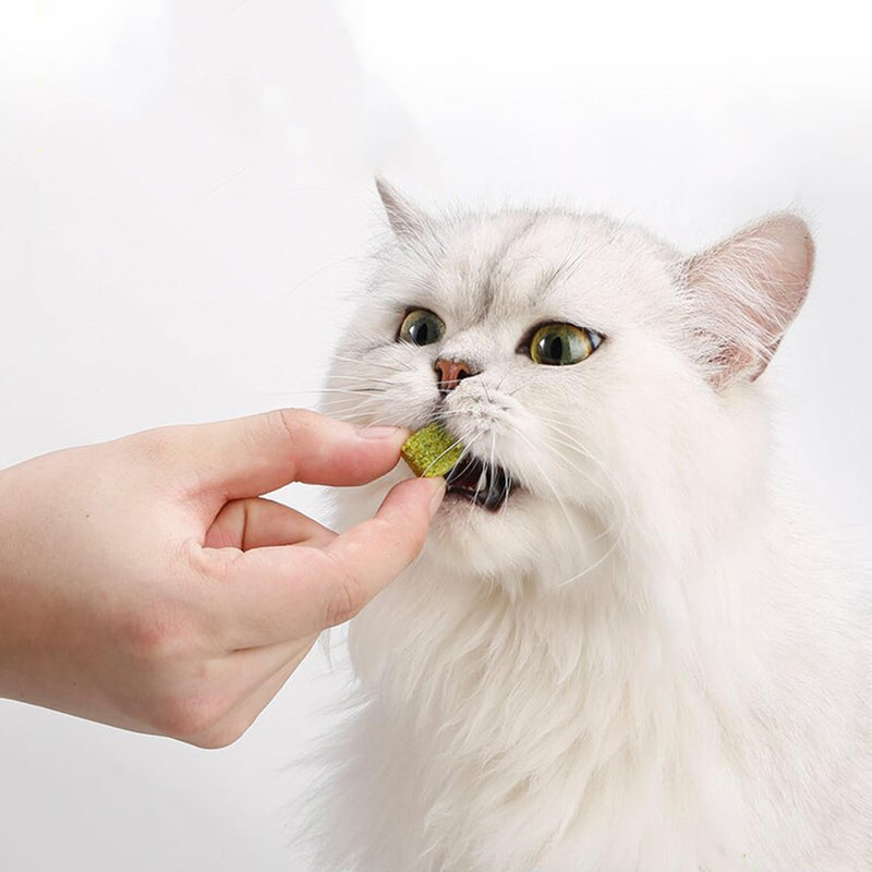 50g cat grass treats to help remove hairballs. Say goodbye to hairballs. Functional. Improve your teeth's dental health. Snacks