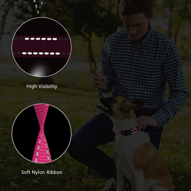 Martingale Dog Collar and Leash Set Martingale Collars for Dogs Reflective Martingale Collar for Small Medium Large Dogs(Hot Pink&L) L Hot Pink - PawsPlanet Australia