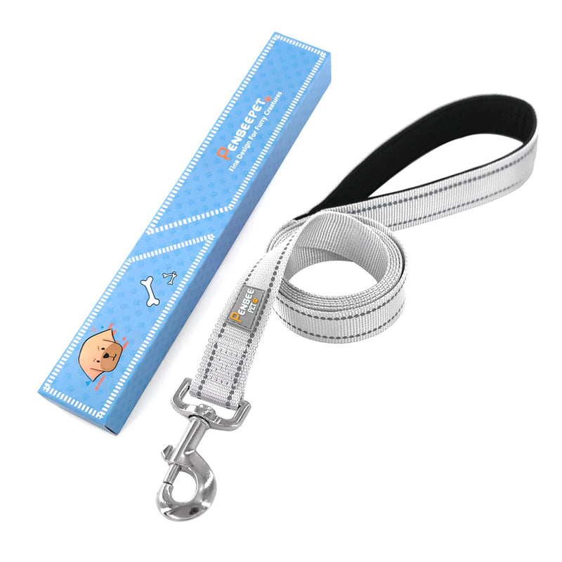 Dog Leash 6 FT Padded Handle Nylon Reflective Dogs Leashes for Medium Dogs Silver Medium : 3/4" x 6 FT Reflective Silver - PawsPlanet Australia