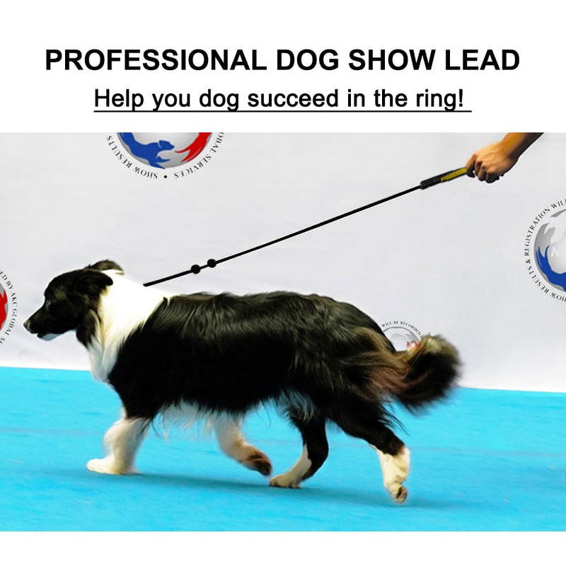 Slip Leads for Dogs,Top Speed Training Dog Leash,2-in-1 Slip Collar Dog Training Lead & Collar,6ft Thin Slip Lead,sturdyand Durable, Leash Suitable for Small, Medium, and Large Dogs(Black) BLACK Training(6FT*1.8M） - PawsPlanet Australia