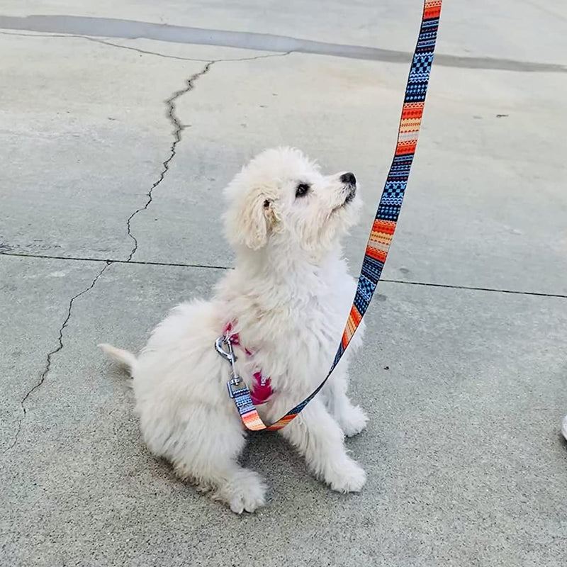 BTINESFUL Printing Nylon Dog/Puppy Obedience Recall Agility Training Lead-12ft, 30ft Long Dog Leash 12 Feet orange - PawsPlanet Australia