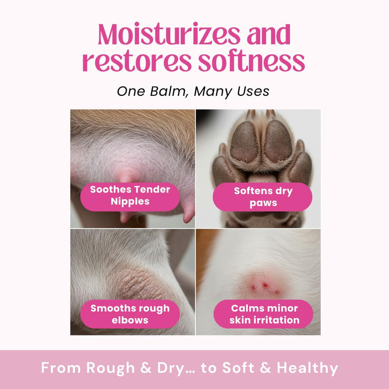 Nipple Soothing Balm for Nursing Dogs & Cats – Lick-Safe, Lanolin-Free, All-Natural Nipple Butter – Soothes Chapped & Cracked Skin – Coconut Oil, Shea Butter, Vitamin E, 2.11 oz - PawsPlanet Australia