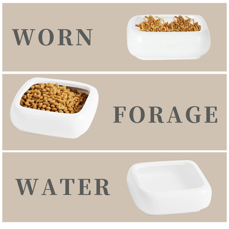 Reptile Food Bowls -Ceramic Square Reptile Water Food Dish, Pet Food Bowl for Lizards, Young Bearded Dragons, Small Snakes, Gecko Tortoise Spider (White, Small 2-Pack) White - PawsPlanet Australia