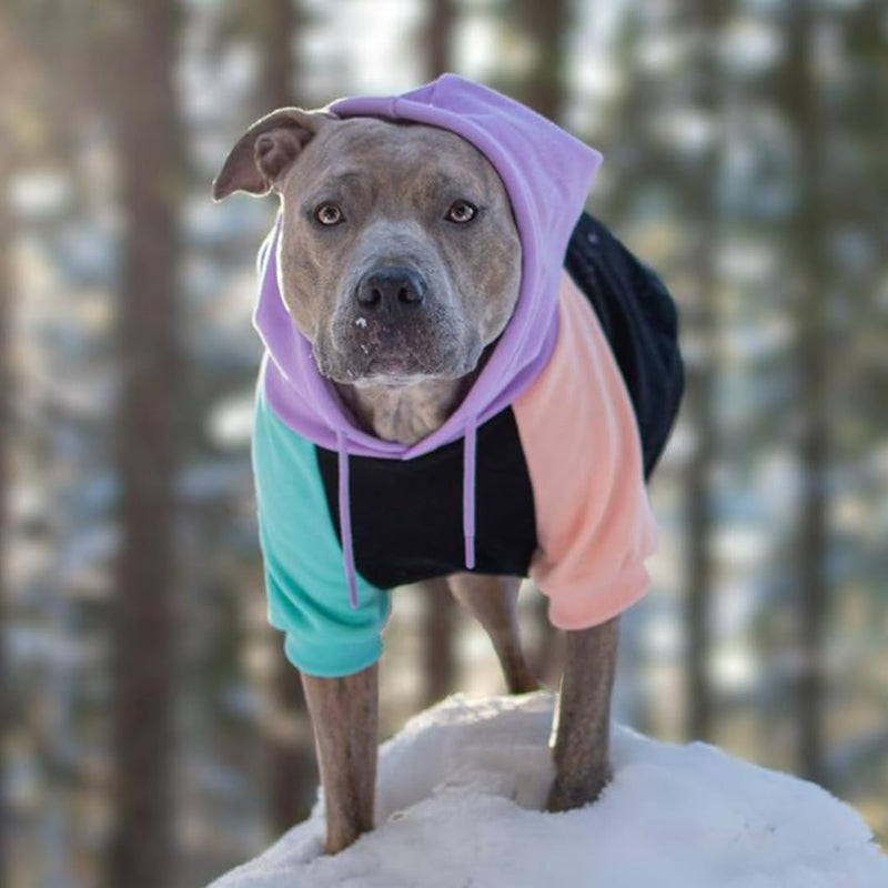 Spark Paws Dog Hoodie - Premium Quality, Buttery Soft, Superior Comfort and Fit, Calming Fleece Interior, Suitable for all breeds - Cyber Punk - XL X-Large - PawsPlanet Australia