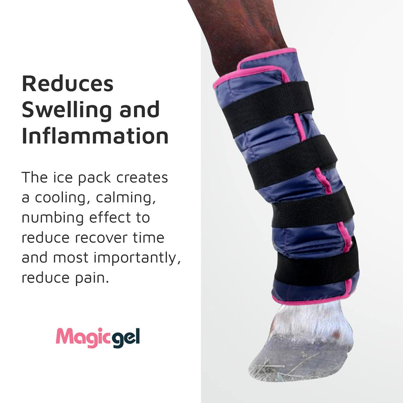 Magic Gel Horse Ice Pack with Carry Case - Twin Ice Boots | Cooling Horse Leg Wraps for Hock, Ankle, Knee, Legs, Boots, and Hooves | Horse Tack, Horse Supplies & Horse Gift Ideas for Horse Lovers 2 Count (Pack of 2) - PawsPlanet Australia