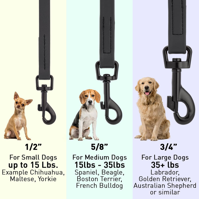 Dogline Biothane Waterproof Dog Leash Strong Coated Nylon Webbing with Black Hardware Odor-Proof Easy to Clean High Performance for Small or Large Dogs Made in USA 4 or 6 ft Lead, Black W1/2" x L6' - PawsPlanet Australia